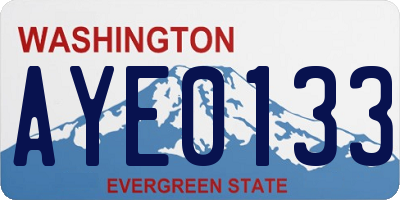 WA license plate AYE0133