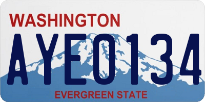 WA license plate AYE0134