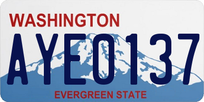 WA license plate AYE0137