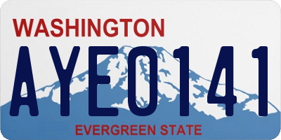 WA license plate AYE0141