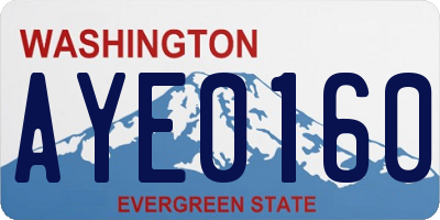 WA license plate AYE0160