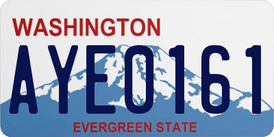 WA license plate AYE0161