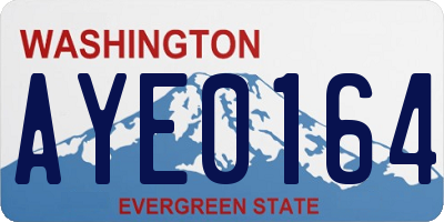 WA license plate AYE0164