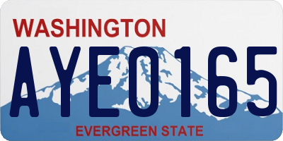 WA license plate AYE0165