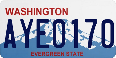 WA license plate AYE0170