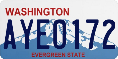 WA license plate AYE0172