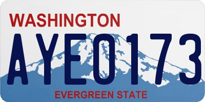 WA license plate AYE0173