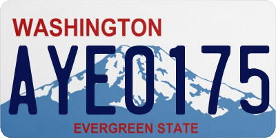 WA license plate AYE0175