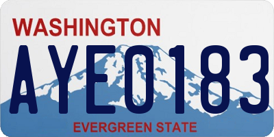 WA license plate AYE0183