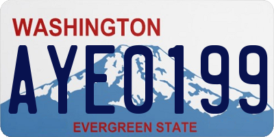 WA license plate AYE0199