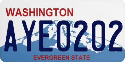 WA license plate AYE0202