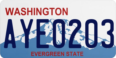 WA license plate AYE0203