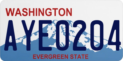 WA license plate AYE0204