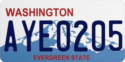 WA license plate AYE0205
