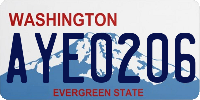 WA license plate AYE0206