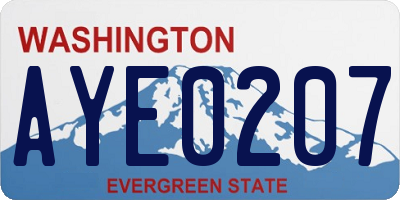 WA license plate AYE0207