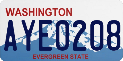 WA license plate AYE0208