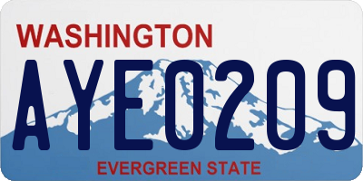 WA license plate AYE0209