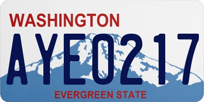 WA license plate AYE0217