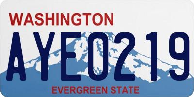 WA license plate AYE0219