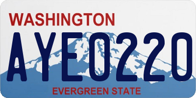 WA license plate AYE0220