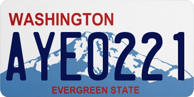 WA license plate AYE0221
