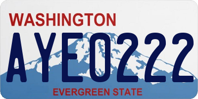 WA license plate AYE0222