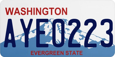 WA license plate AYE0223