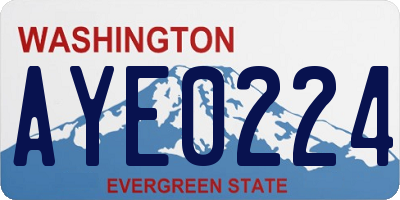 WA license plate AYE0224