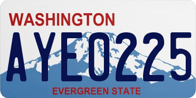 WA license plate AYE0225