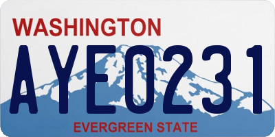 WA license plate AYE0231
