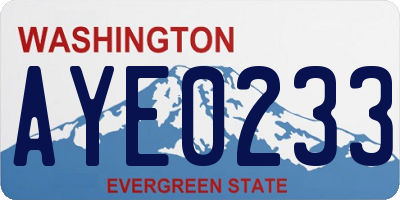 WA license plate AYE0233