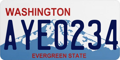 WA license plate AYE0234