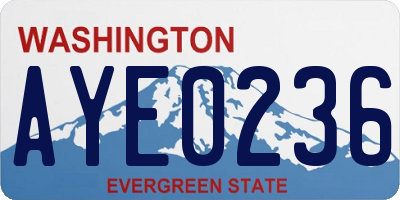 WA license plate AYE0236