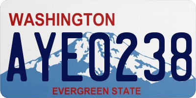 WA license plate AYE0238