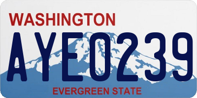WA license plate AYE0239