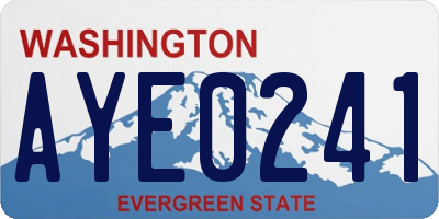 WA license plate AYE0241