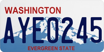WA license plate AYE0245