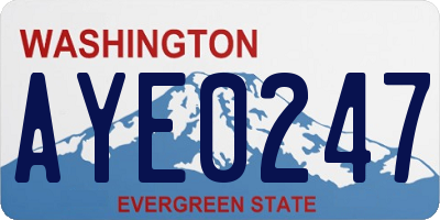 WA license plate AYE0247
