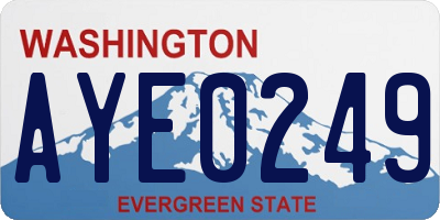 WA license plate AYE0249
