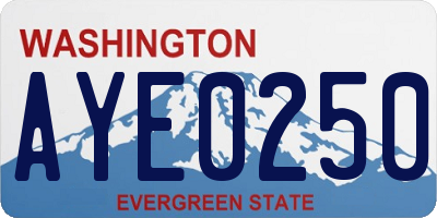WA license plate AYE0250