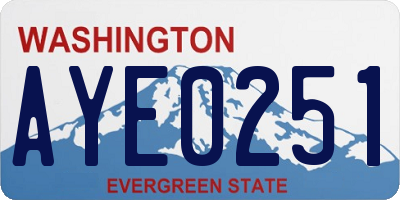 WA license plate AYE0251