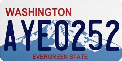 WA license plate AYE0252