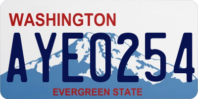 WA license plate AYE0254