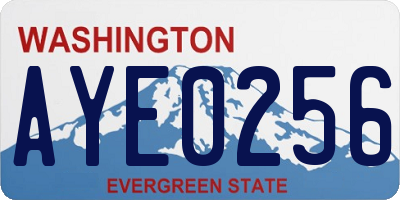 WA license plate AYE0256