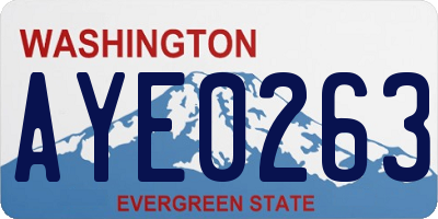 WA license plate AYE0263