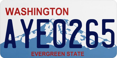 WA license plate AYE0265