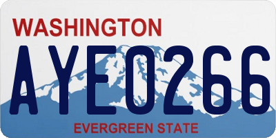 WA license plate AYE0266
