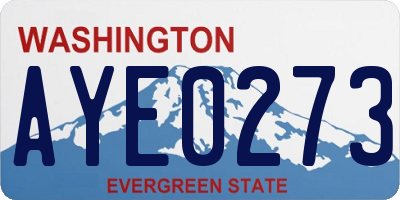 WA license plate AYE0273