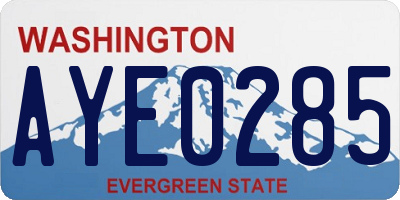 WA license plate AYE0285